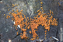 BUITEN BEELD Foto: 76989