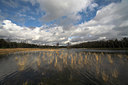 BUITEN BEELD Foto: 77013