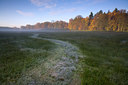 BUITEN BEELD Foto: 77021