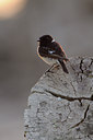 BUITEN BEELD Foto: 77029