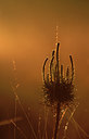 BUITEN BEELD Foto: 77067
