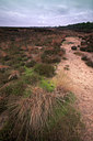 BUITEN BEELD Foto: 77071