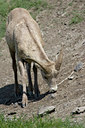 BUITEN BEELD Foto: 77127