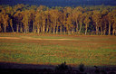 BUITEN BEELD Foto: 77152