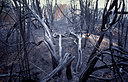 BUITEN BEELD Foto: 77163