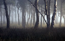 BUITEN BEELD Foto: 77306
