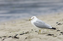 BUITEN BEELD Foto: 77332