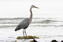 BUITEN BEELD Foto: 77336