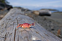 BUITEN BEELD Foto: 77344