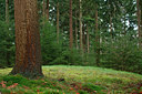 BUITEN BEELD Foto: 77389