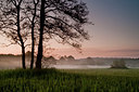 BUITEN BEELD Foto: 77413