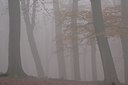 BUITEN BEELD Foto: 77425