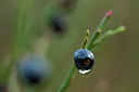 BUITEN BEELD Foto: 77491