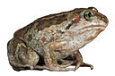 BUITEN BEELD Foto: 77525