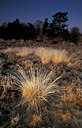 BUITEN BEELD Foto: 77594