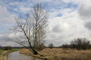 BUITEN BEELD Foto: 77630