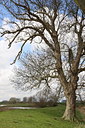 BUITEN BEELD Foto: 77631