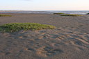 BUITEN BEELD Foto: 77640