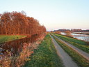 BUITEN BEELD Foto: 77645