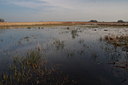 BUITEN BEELD Foto: 77647