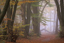 BUITEN BEELD Foto: 77666