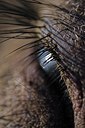 BUITEN BEELD Foto: 77738