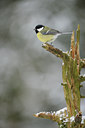 BUITEN BEELD Foto: 77866