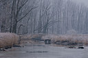 BUITEN BEELD Foto: 77880