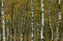 BUITEN BEELD Foto: 77910