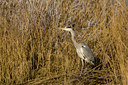 BUITEN BEELD Foto: 77936