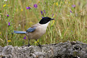 BUITEN BEELD Foto: 77947