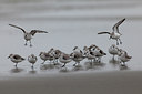 BUITEN BEELD Foto: 77954