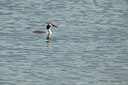 BUITEN BEELD Foto: 77965
