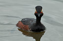 BUITEN BEELD Foto: 77967