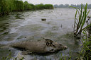 BUITEN BEELD Foto: 78038