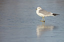 BUITEN BEELD Foto: 78054