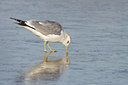 BUITEN BEELD Foto: 78055