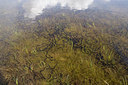 BUITEN BEELD Foto: 78083