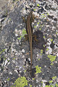 BUITEN BEELD Foto: 78085