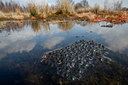 BUITEN BEELD Foto: 78092