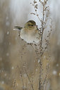 BUITEN BEELD Foto: 78151