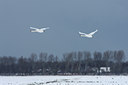 BUITEN BEELD Foto: 78166