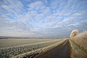 BUITEN BEELD Foto: 78167