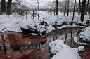 BUITEN BEELD Foto: 78198