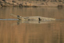 BUITEN BEELD Foto: 78204