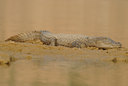 BUITEN BEELD Foto: 78206