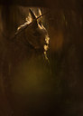 BUITEN BEELD Foto: 78220