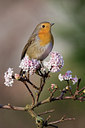 BUITEN BEELD Foto: 78304