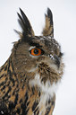 BUITEN BEELD Foto: 78323