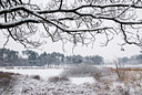 BUITEN BEELD Foto: 78381